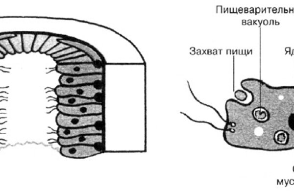 Доступ к сайту кракен