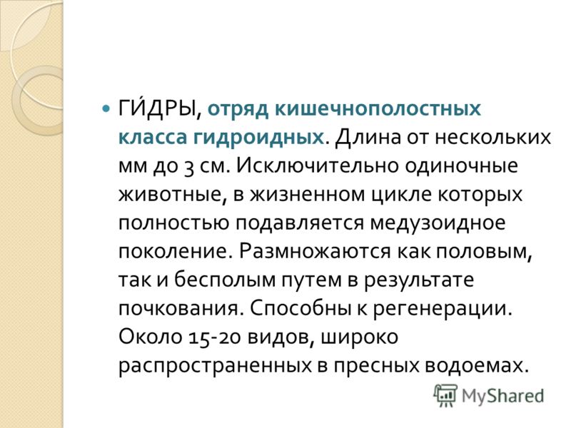Кракен актуальная ссылка тор